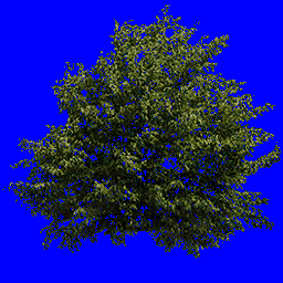 tree01.spr frame 0