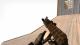 Elite Tiger AK74S-U Skin screenshot