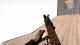 Elite Tiger AK74S-U Skin screenshot