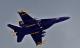 F/A-18E Super Hornet - Blue Angels! Skin screenshot