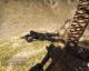 Black woodgrips for AKM and AK74U Skin screenshot