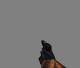 Black Mesa Glock Skin screenshot